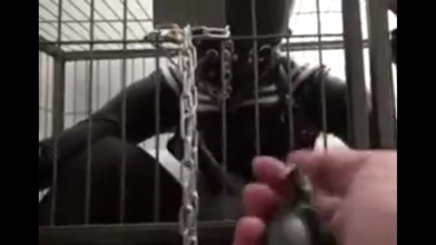Iron Cage Breathing Control